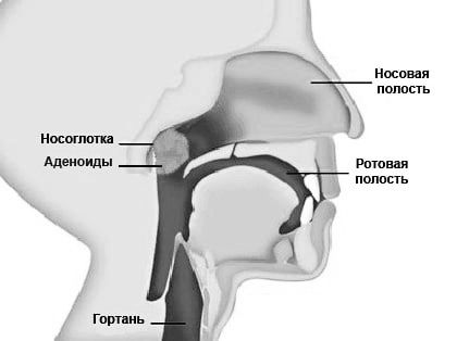 лікарів