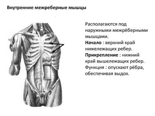 робити