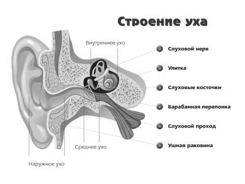 Потрапила вода в вухо заклало що робити потрапила