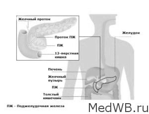 як лікувати рак підшлункової залози