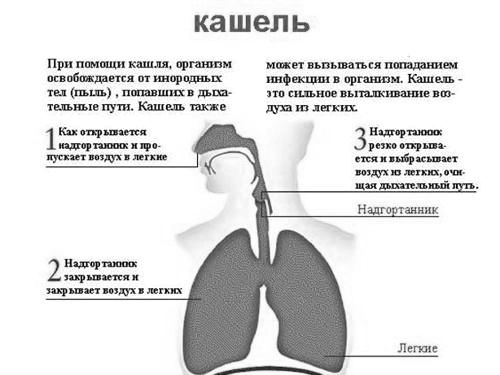 кашель