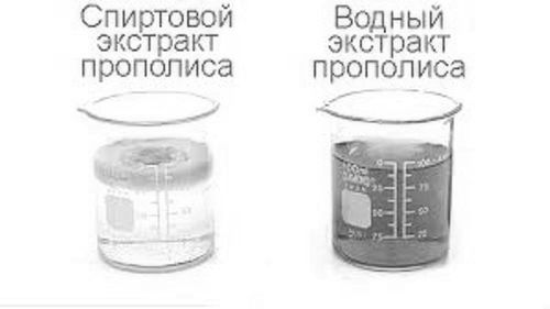 Що закапати, якщо болить вухо: настоянка прополісу, календули, сік алое, ефірні масла і цибулю лікування вуха алое
