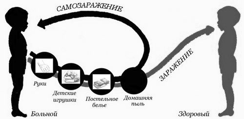 Глисти у людини: симптоми і ознаки у дорослих симптоми