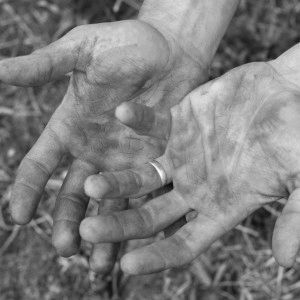 Глисти, що живуть в крові: види паразитів, симптоми зараження і лікування живуть