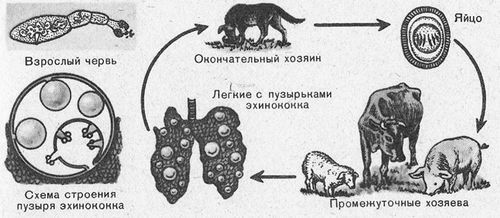 рецепти