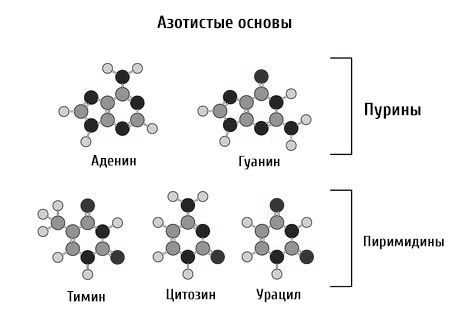 причини