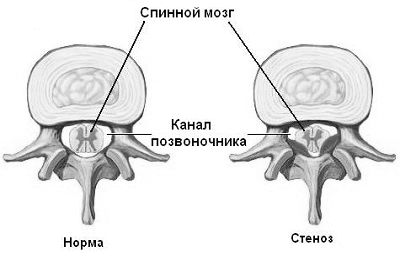 відділу