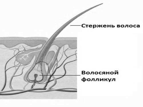 Випадання волосся через стрес стрес