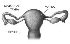 симптоми