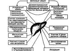 Овес для печінки: рецепти, протипоказання і показання, народна медицина протипоказання
