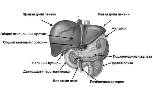 постановка