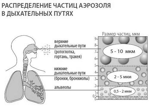 як лікувати нежить через небулайзер