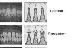 домашніх