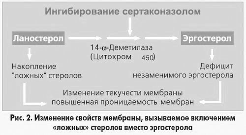 Здоров'я казахстана - аденоїди: причина, наслідок або? наслідок
