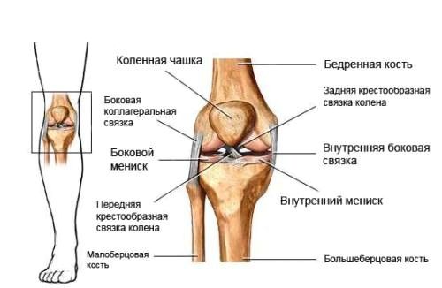 як лікувати остеохондроз коліна