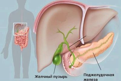 Як болить жовчний міхур у людини: симптоми і лікування як лікувати проблеми з жовчним
