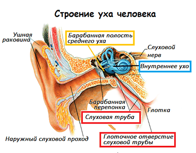 як лікувати вуха після застуди