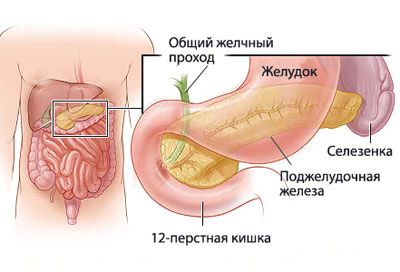 як лікувати хворий шлунок