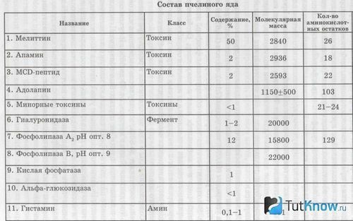 Користь і шкода укусу бджоли пчелотерапія