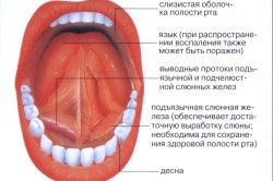 дантист будинку