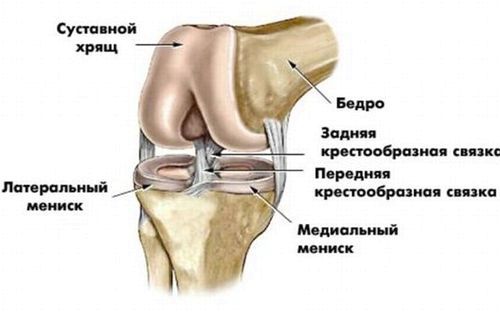 меніскопатія колінного суглоба