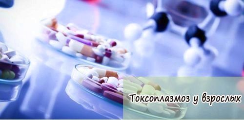 Токсоплазмоз у дорослих: симптоми і лікування хвороби нове в лікуванні токсоплазмозу