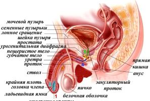 як лікувати діарею після променевої терапії