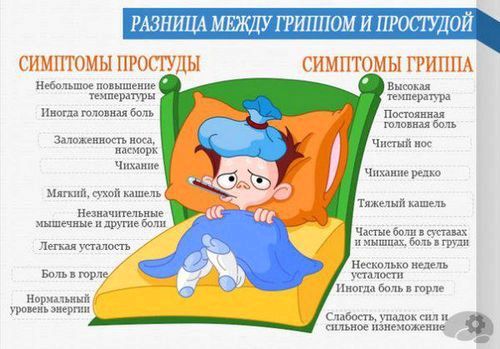 Як відрізнити застуду від вірусу: лікування грипу, препарати... як лікувати грип препарати