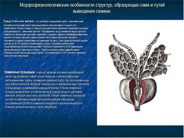 Хто ще хоче спробувати лікування простати содою? як лікувати тиск содою