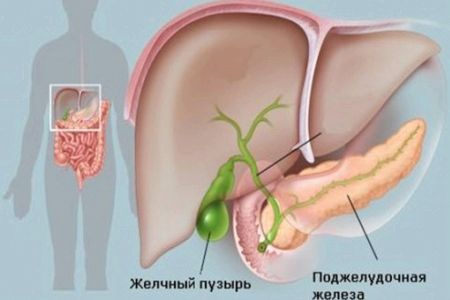 видалений жовчний міхур болить печінка лікувати чистка каміння підтримати