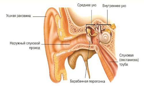 як лікувати вуха сіллю