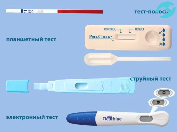З якого дня затримки тест показує вагітність (місячних) тест на вагітність після місячних