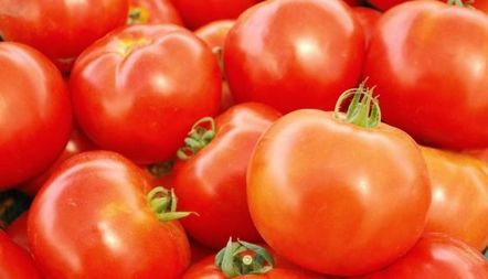 Описание на сорта Домати на баба Подарък, рецензии, снимки