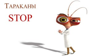 Как да отровите хлебарки в апартамент