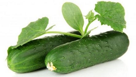 Краставица Zuzulya, описание на сорта, снимки, рецензии