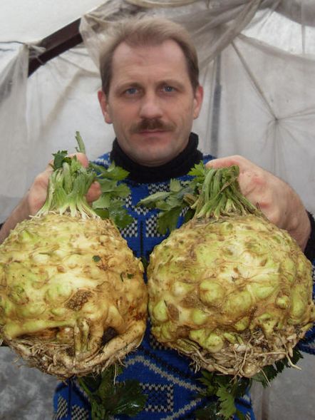 seră