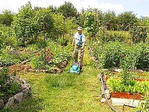 Подреждане на градинска площ по Курдюмов