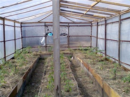 Топло легло в оранжерия като източник на реколта от зеленчуци и плодородна почва