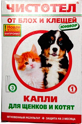 Инструкции за капки от бълхи Chistotil, предимства и недостатъци, правила за употреба, мерки, прегледи
