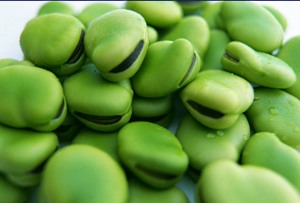 Лятна вила за начинаещи. Отглеждайте боб