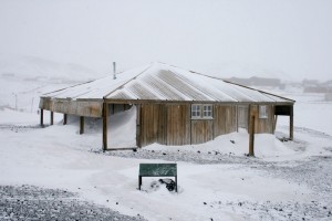 Cum de a trăi pe Antarctica