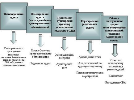 Ce este un control de audit