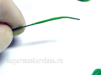 Florile din clasa maselor plastice de master