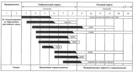 factori (interni) endogeni - studopediya