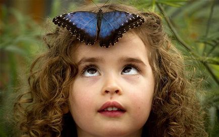 Butterfly este cine sau ce