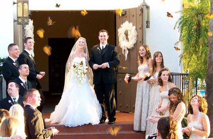 Butterfly este cine sau ce Butterfly este cine sau ce
