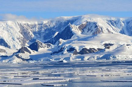 Cum de a trăi pe Antarctica