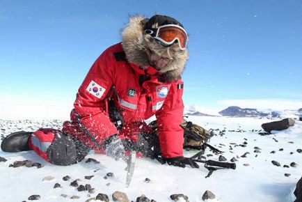 Interesant de știut 19 fapte despre Antarctica - meu mic colt confortabil