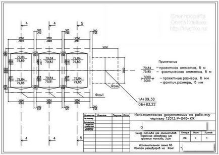 schema de executiv, care este