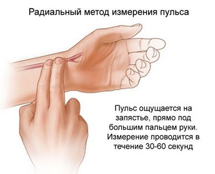 Cum se măsoară pulsul manual, ritmul cardiac, dispozitive profesionale